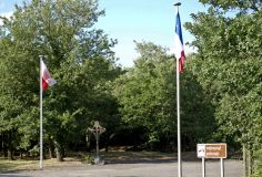 polonais_09.jpg