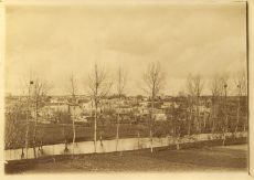 1898_Louin03.jpg